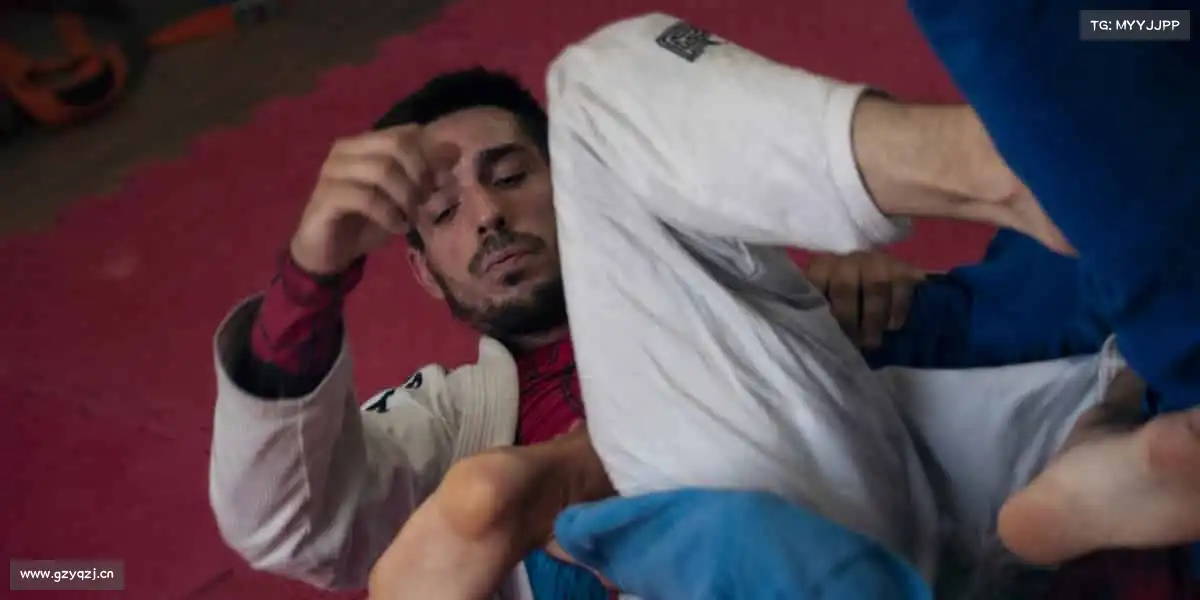 为什么选择我们